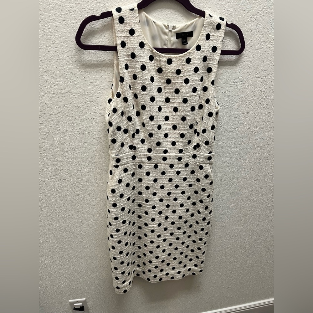 Jcrew polka dot tweed dress